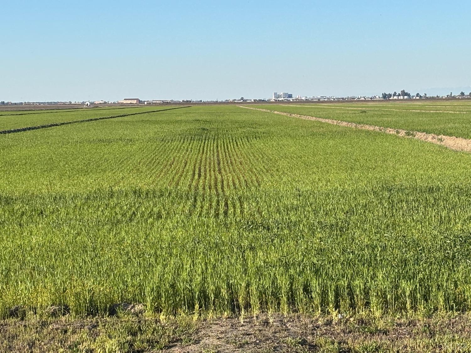 0 W Jackson Ave W, Lemoore, CA 93245