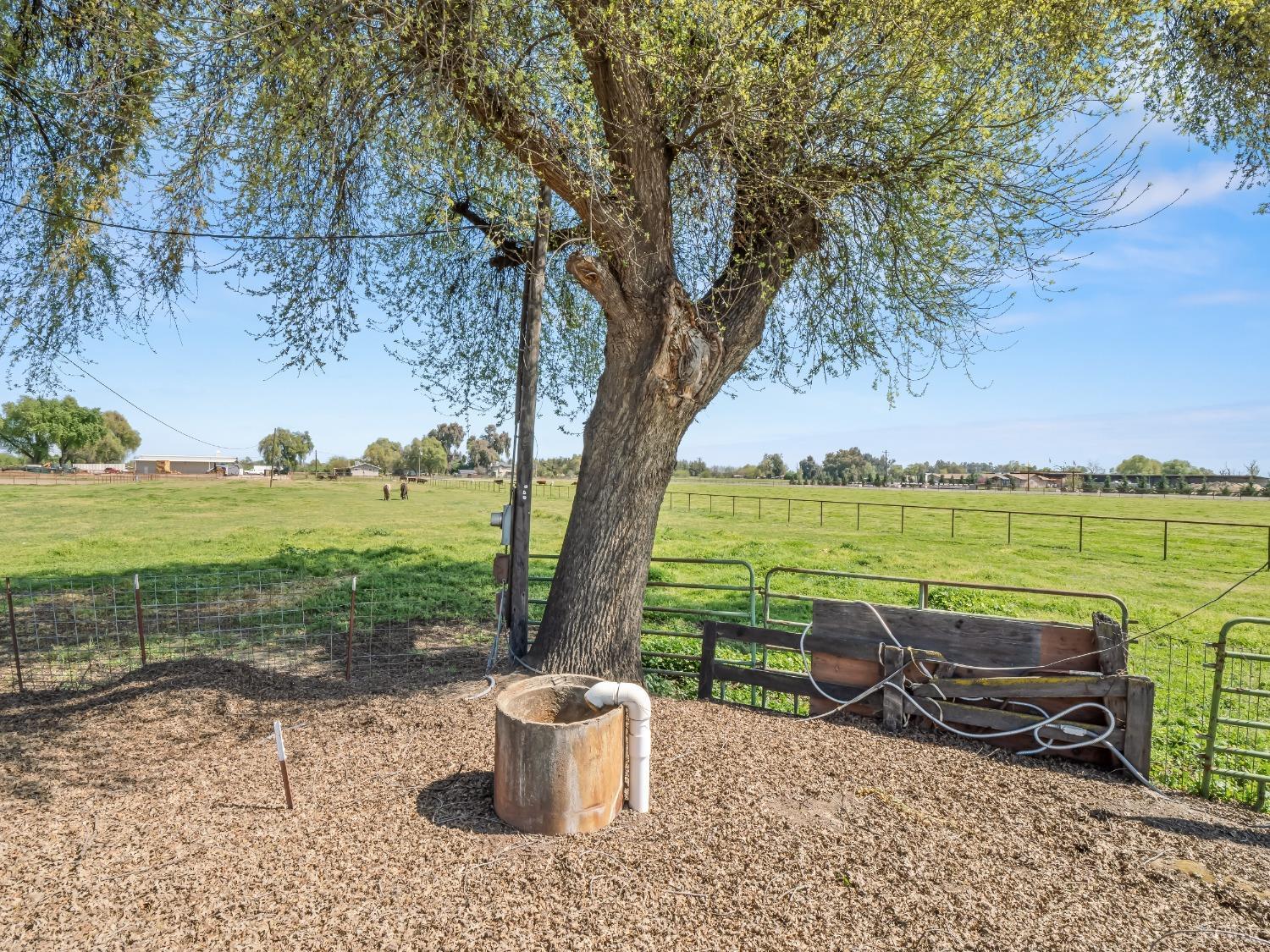 19860 Fremont Ave, Lemoore, CA 93245