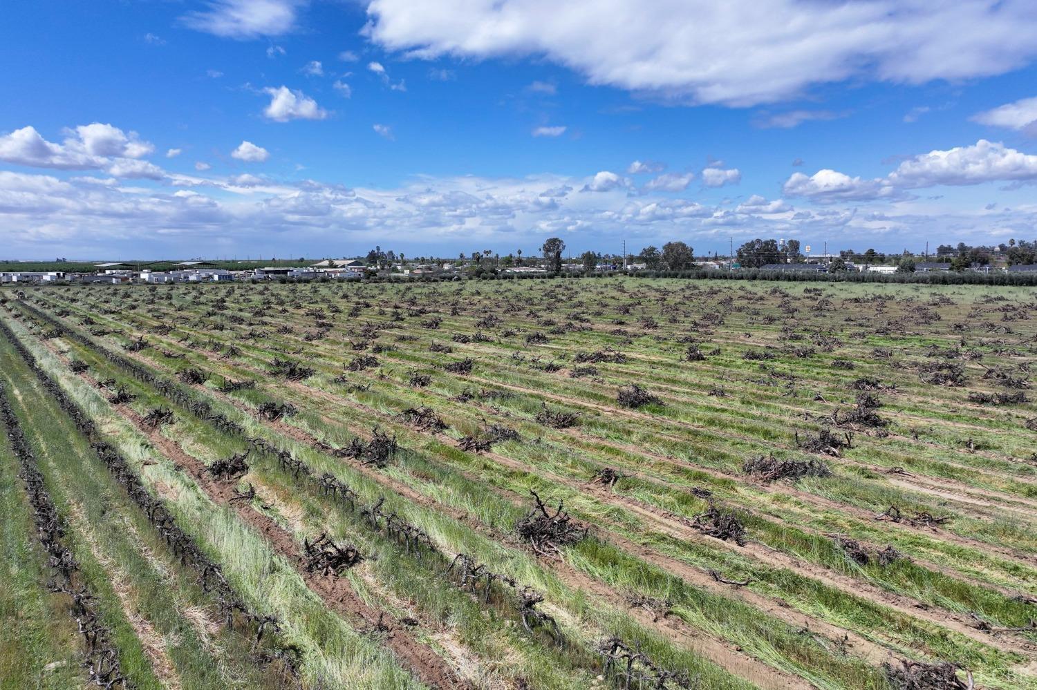 1875 S Elm St, Pixley, CA 93256