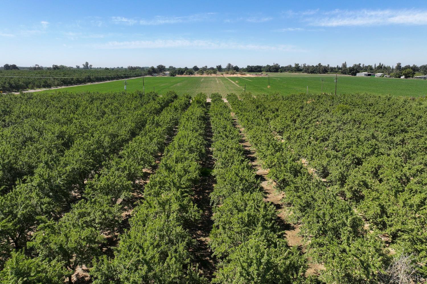 7476 E Mt. Whitney Ave, Laton, CA 93242