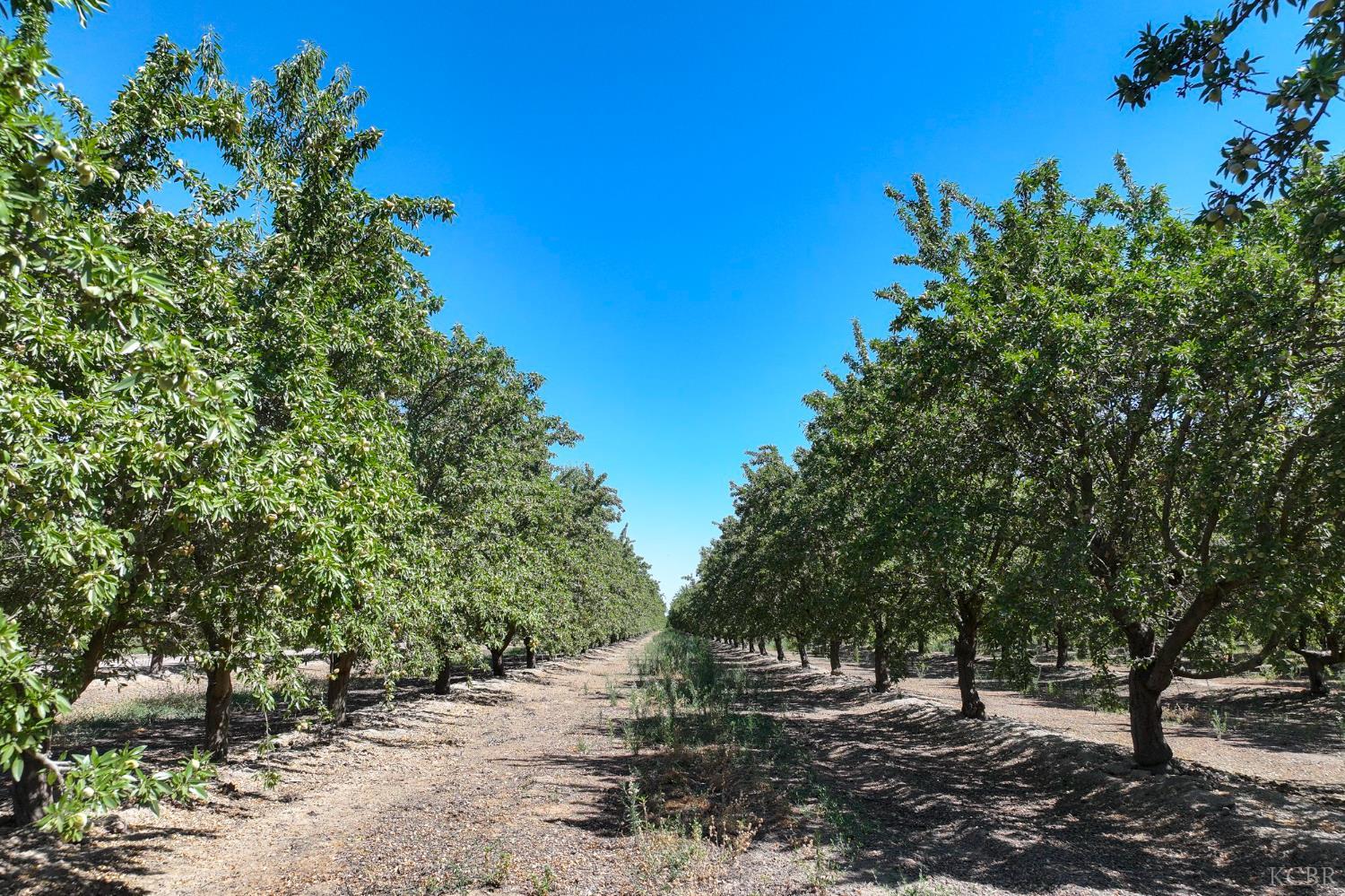 7476 E Mt. Whitney Ave, Laton, CA 93242