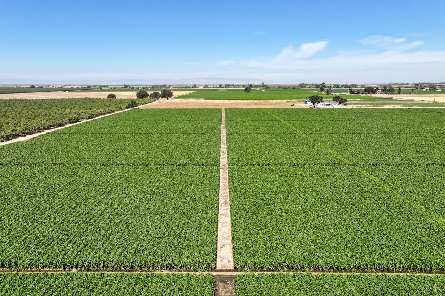 0 Lacey Blvd, Lemoore, CA 93245