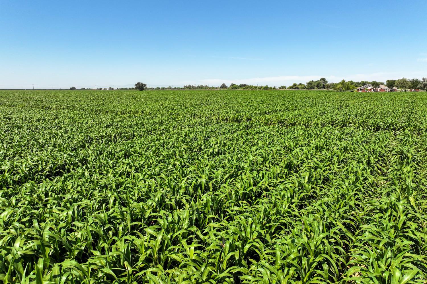 0 Lacey Blvd, Lemoore, CA 93245