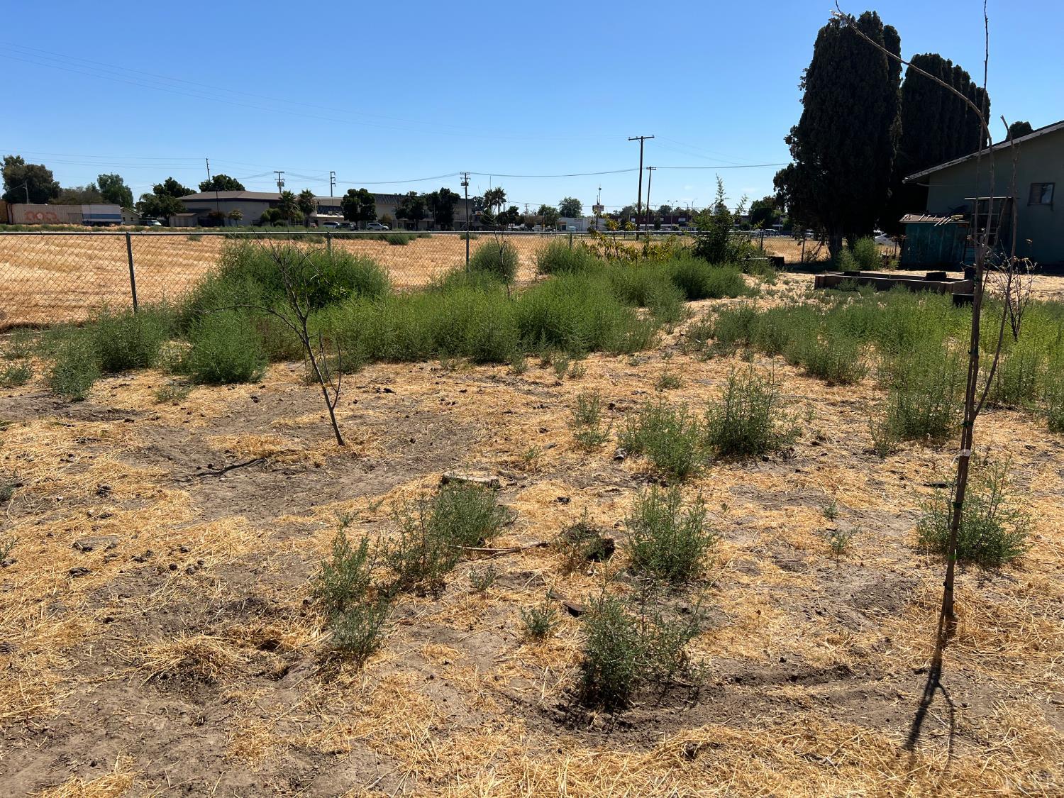 1807 Hardcastle Ave, Hanford, CA 93230