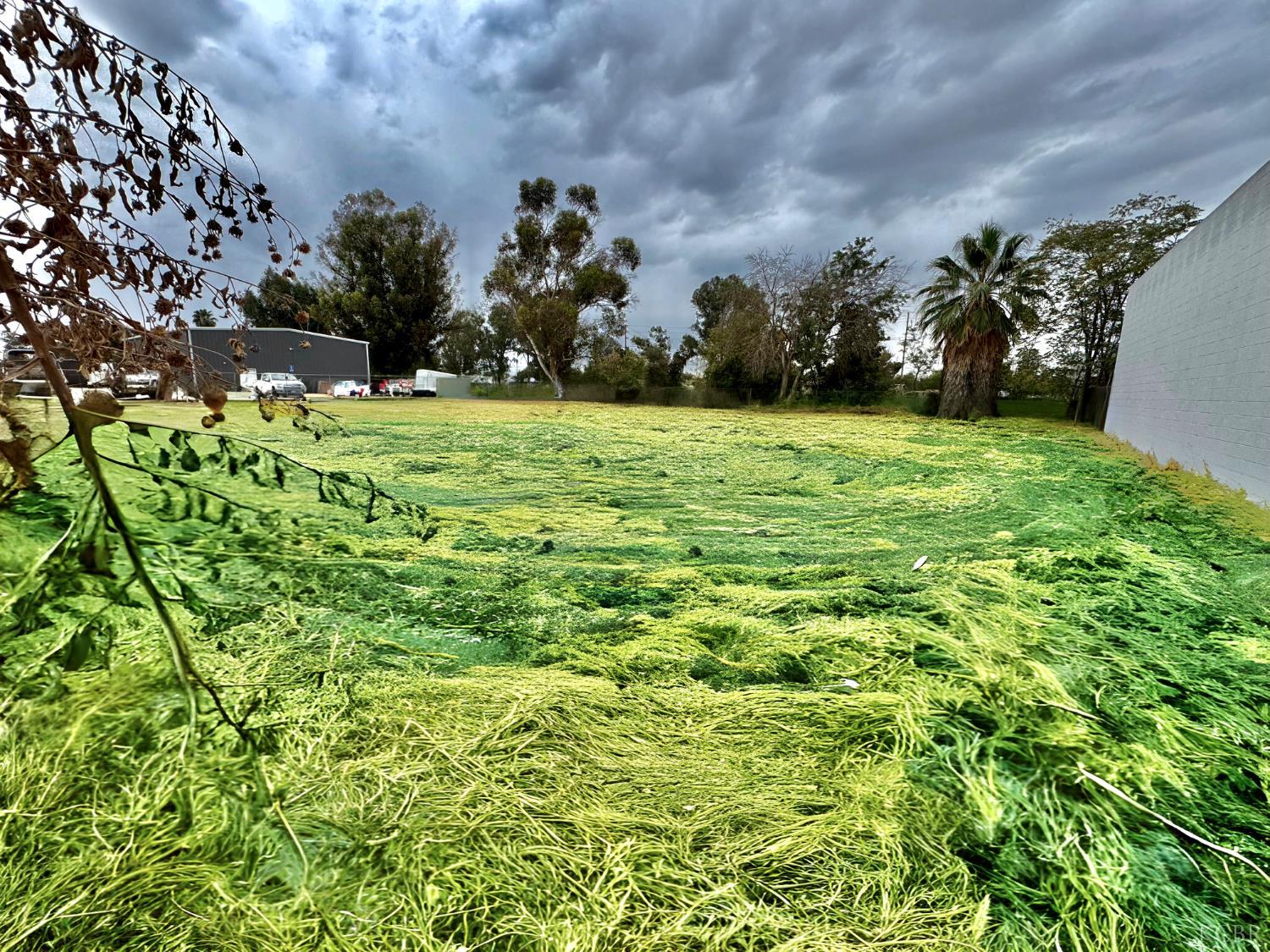 311 E 4th St, Hanford, CA 93230