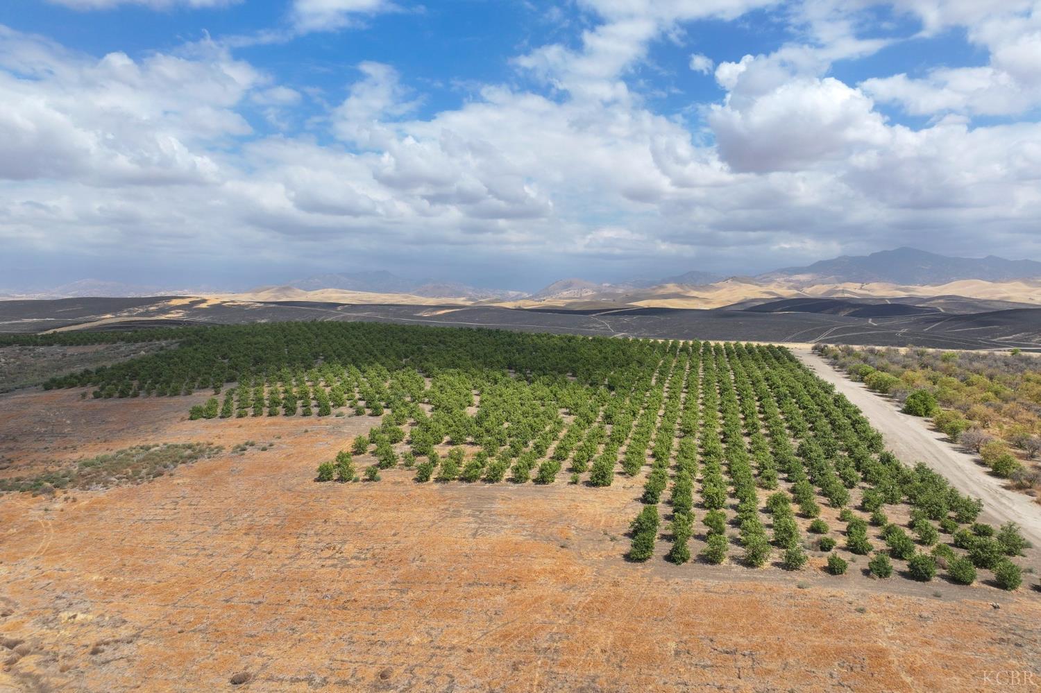 0 0 Avenue 2, Ducor, CA 93218