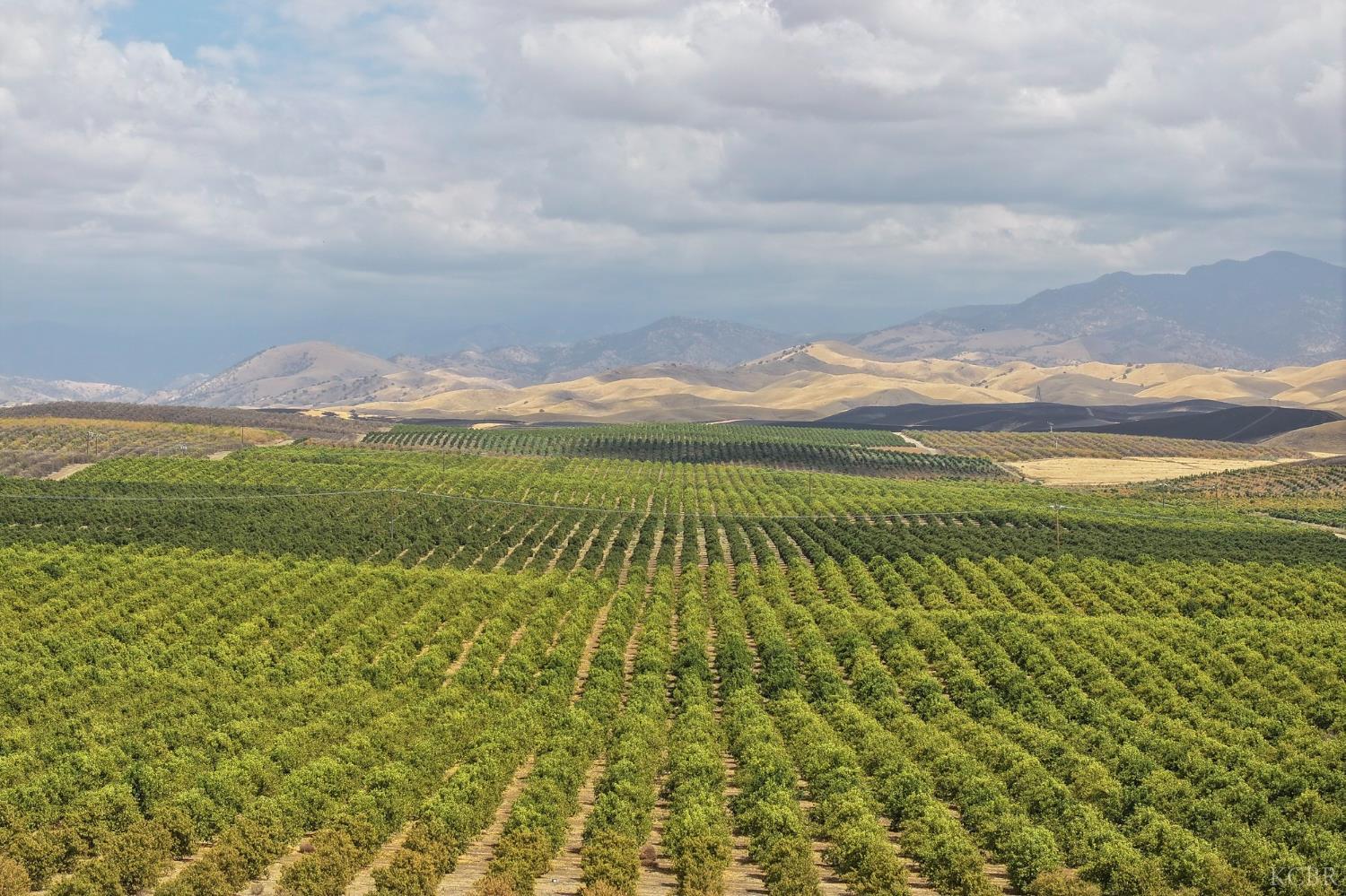 0 0 Avenue 2, Ducor, CA 93218