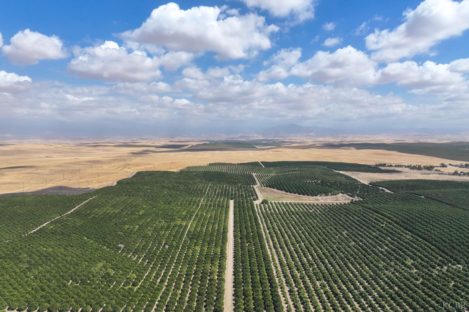 0 Avenue 2, Richgrove, CA 93261