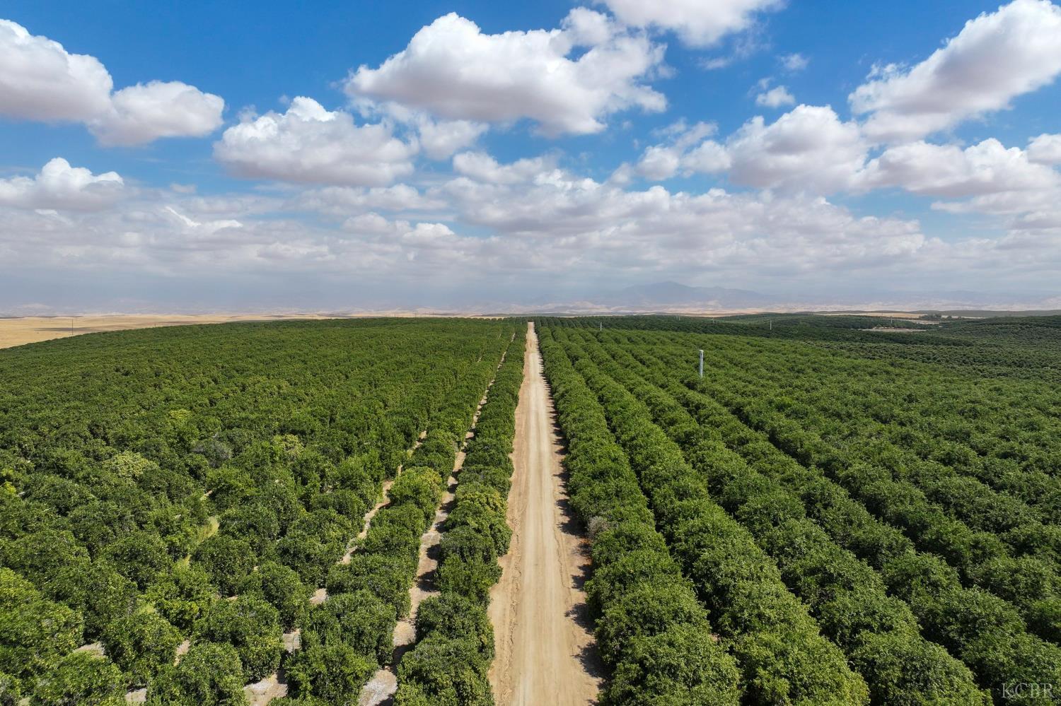 0 Avenue 2, Richgrove, CA 93261