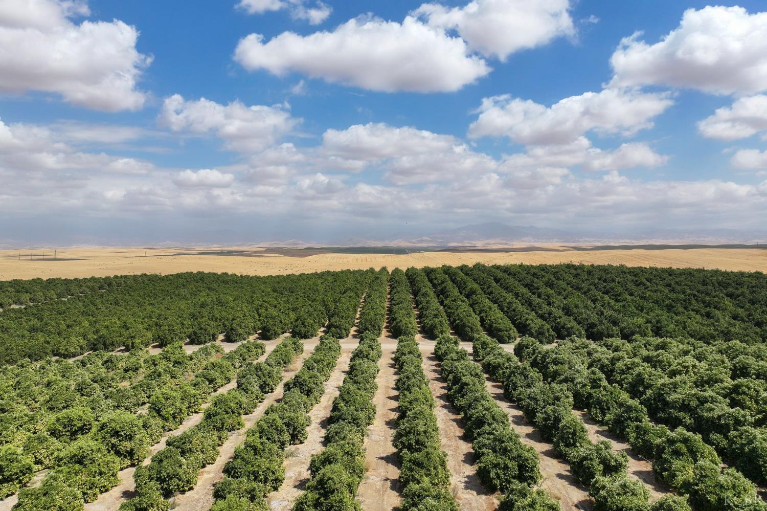 0 Avenue 2, Richgrove, CA 93261