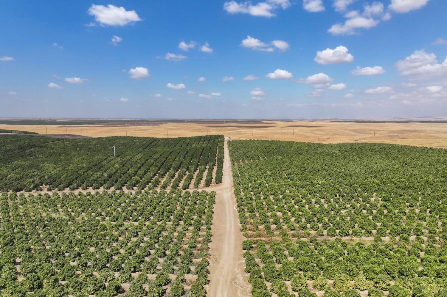 0 Avenue 2, Richgrove, CA 93261