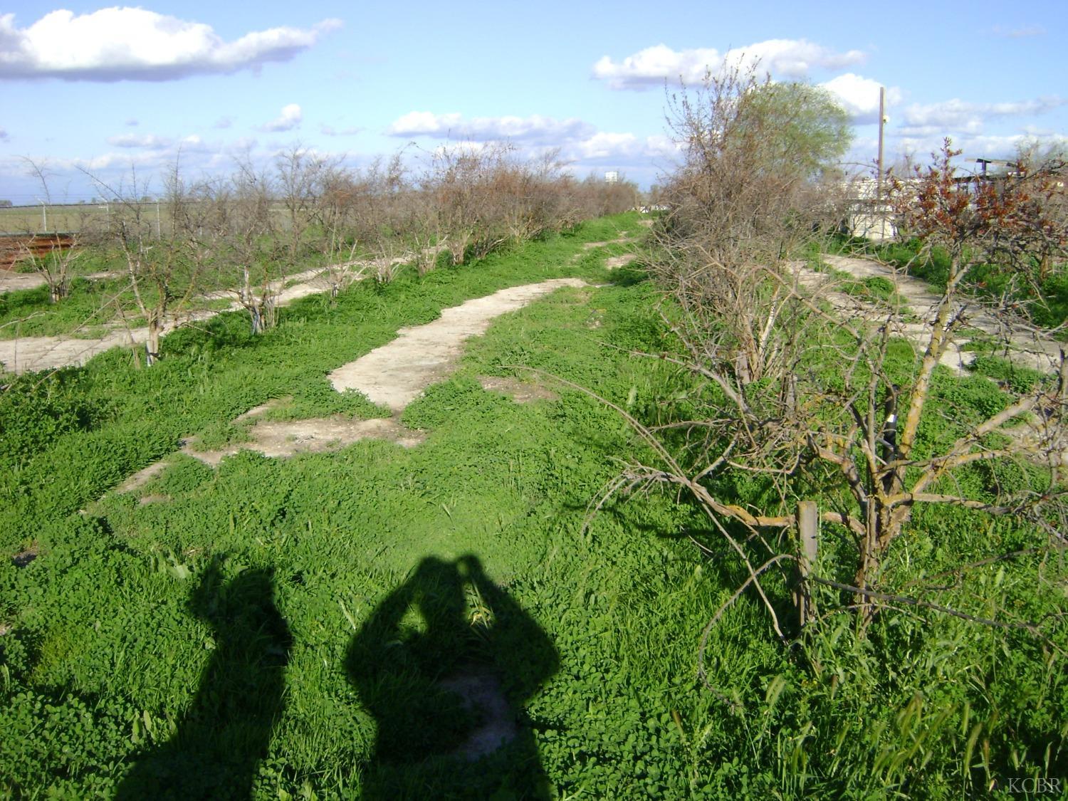 2850 Avenue 54, Alpaugh, CA 93201