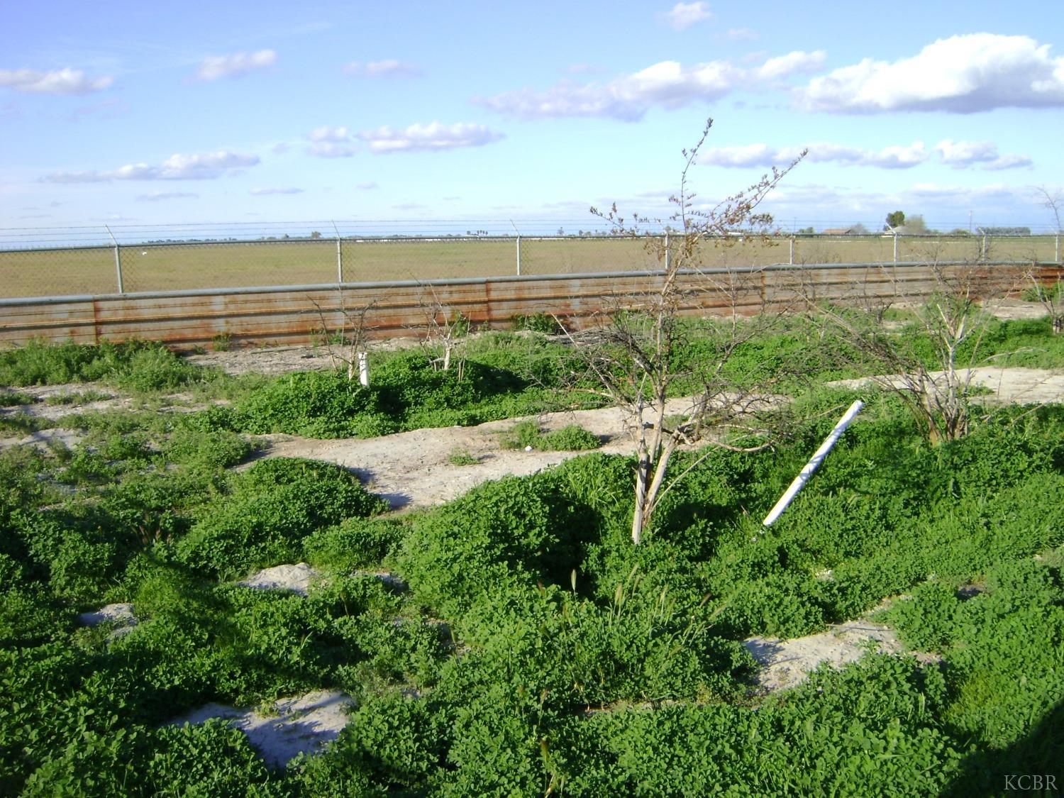 2850 Avenue 54, Alpaugh, CA 93201