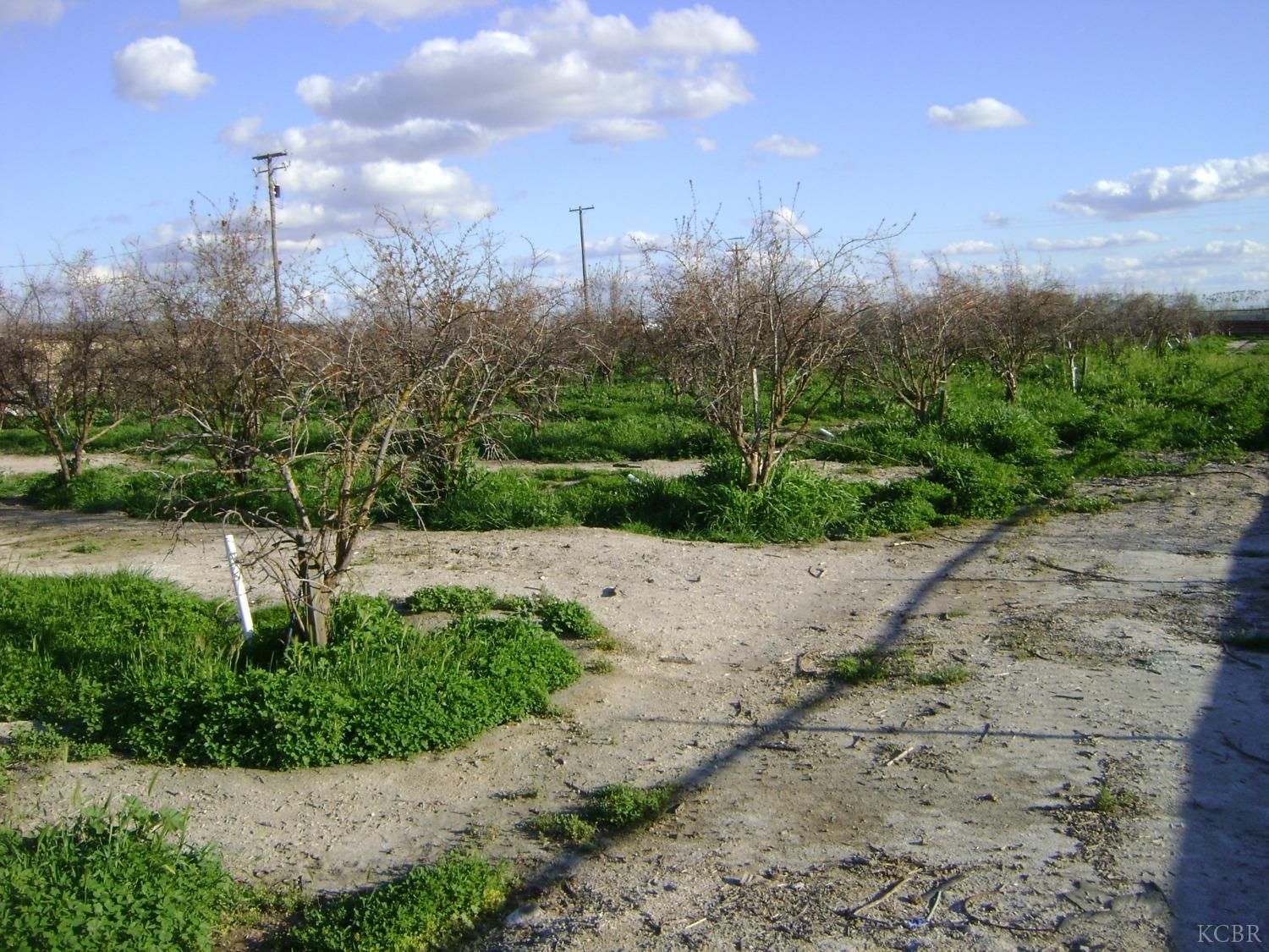 2850 Avenue 54, Alpaugh, CA 93201