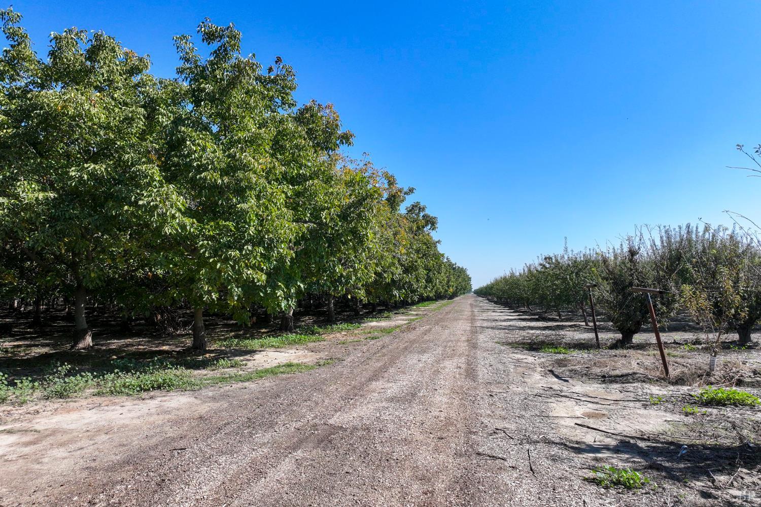 8651 Corona Ave, Laton, CA 93242