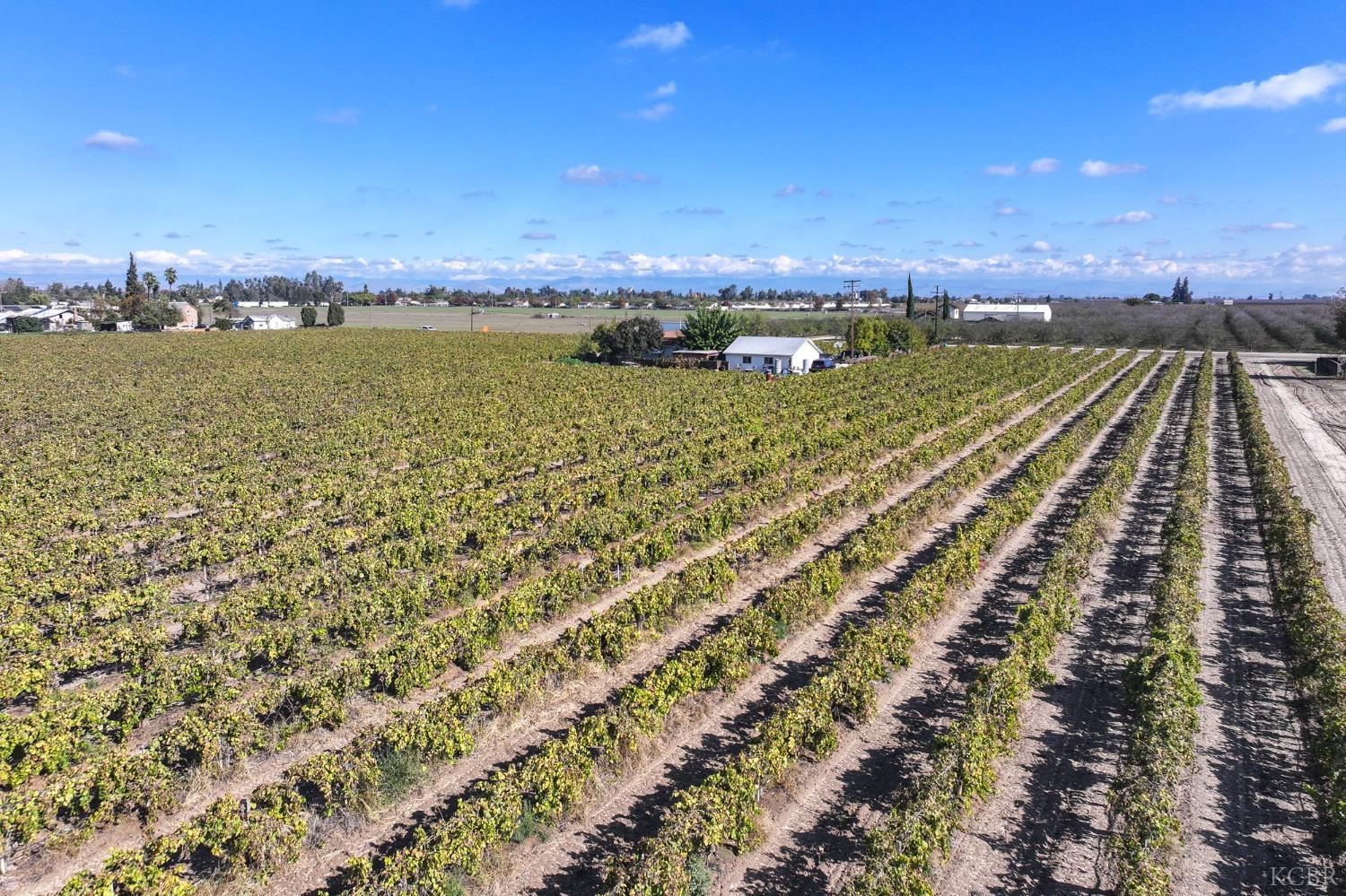 12615 S Mitchell Ave, Selma, CA 93662