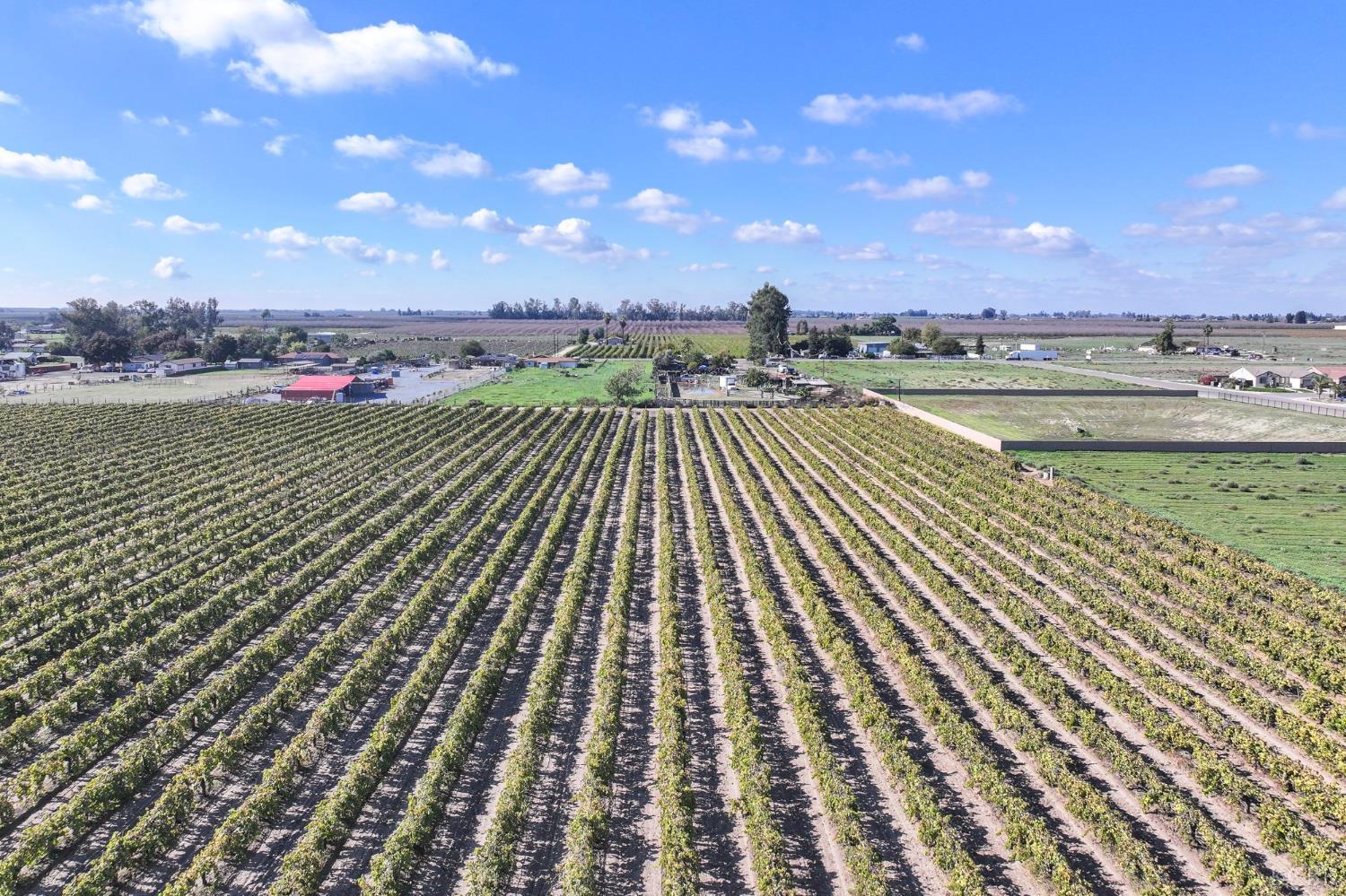 12615 S Mitchell Ave, Selma, CA 93662