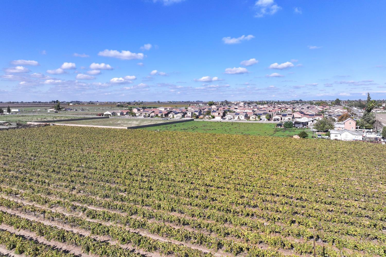 12615 S Mitchell Ave, Selma, CA 93662