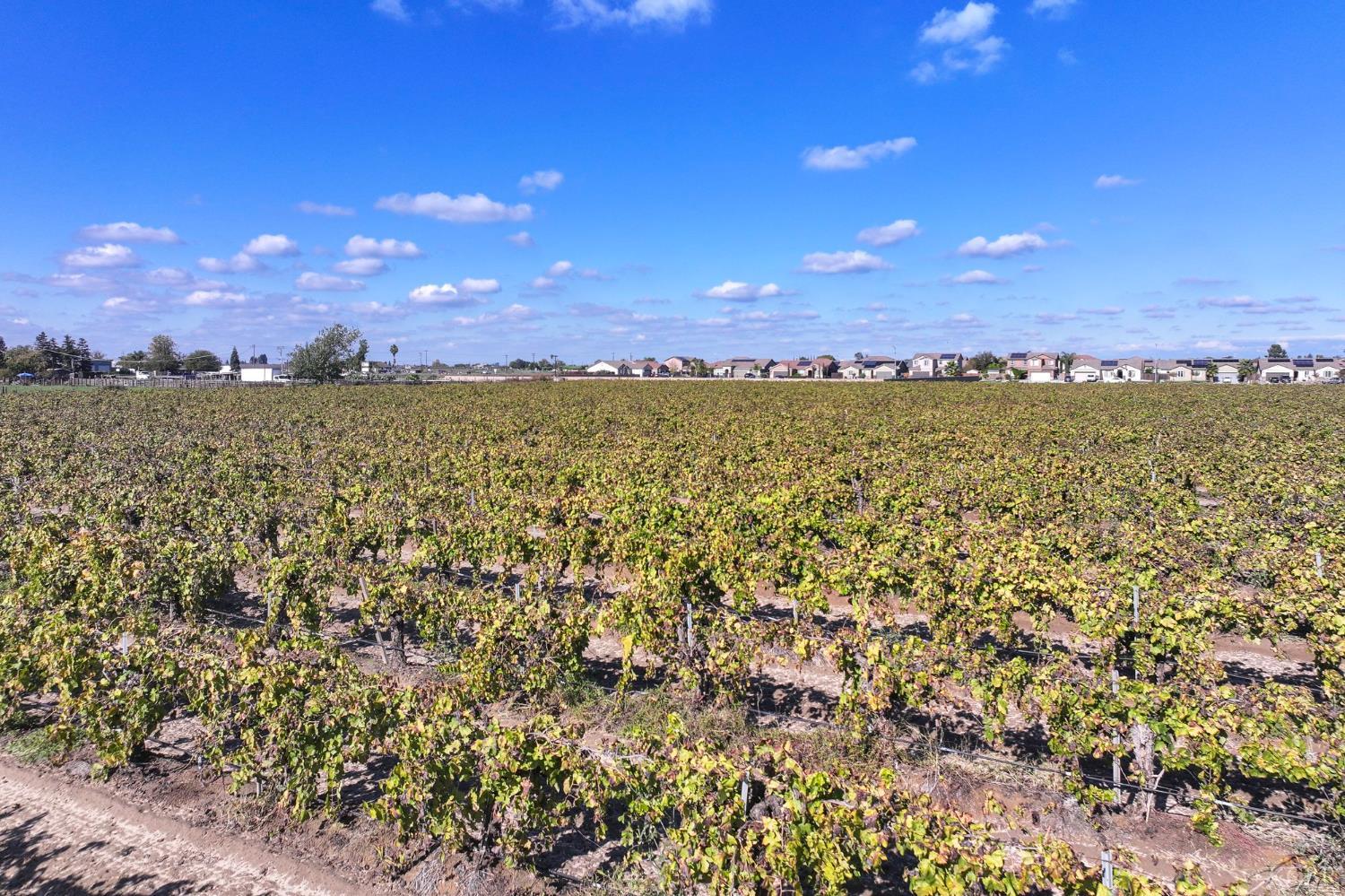 12615 S Mitchell Ave, Selma, CA 93662