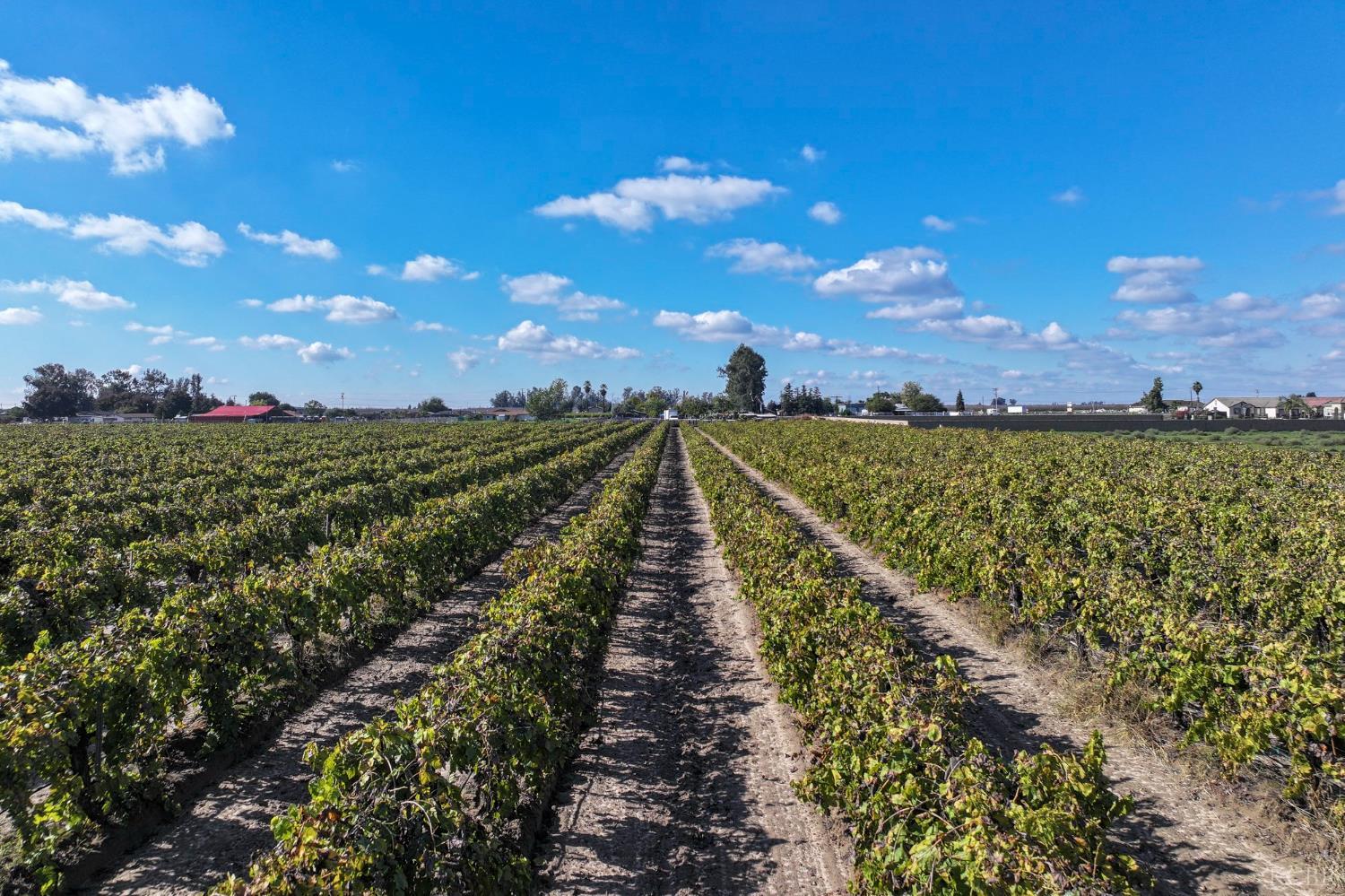 12615 S Mitchell Ave, Selma, CA 93662