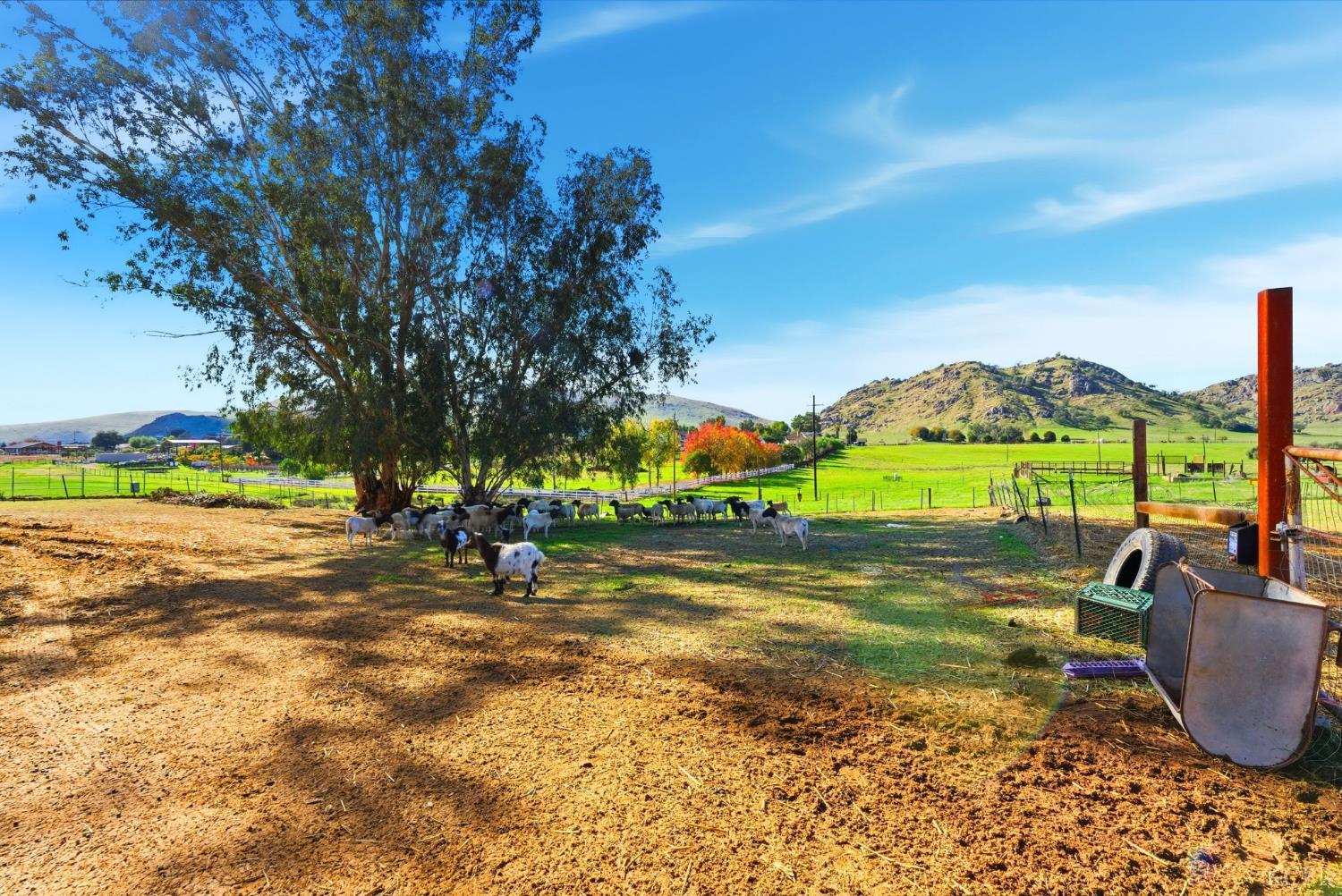 37801 Road 200, Woodlake, CA 93286