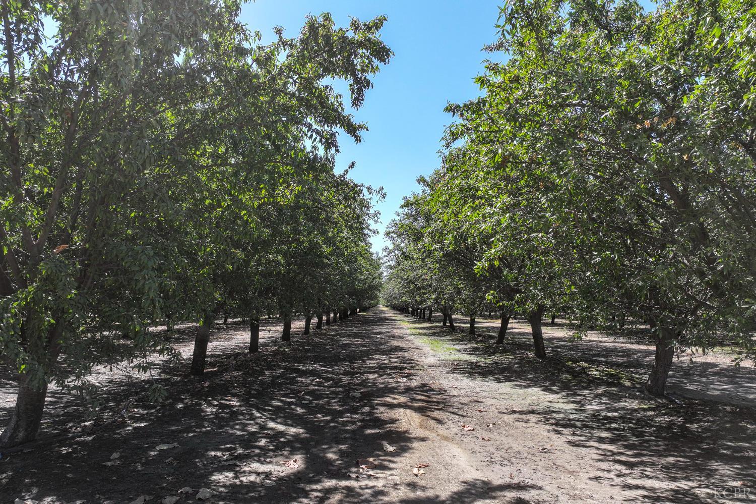 0 0 W Glendale Ave, Lemoore, CA 93245