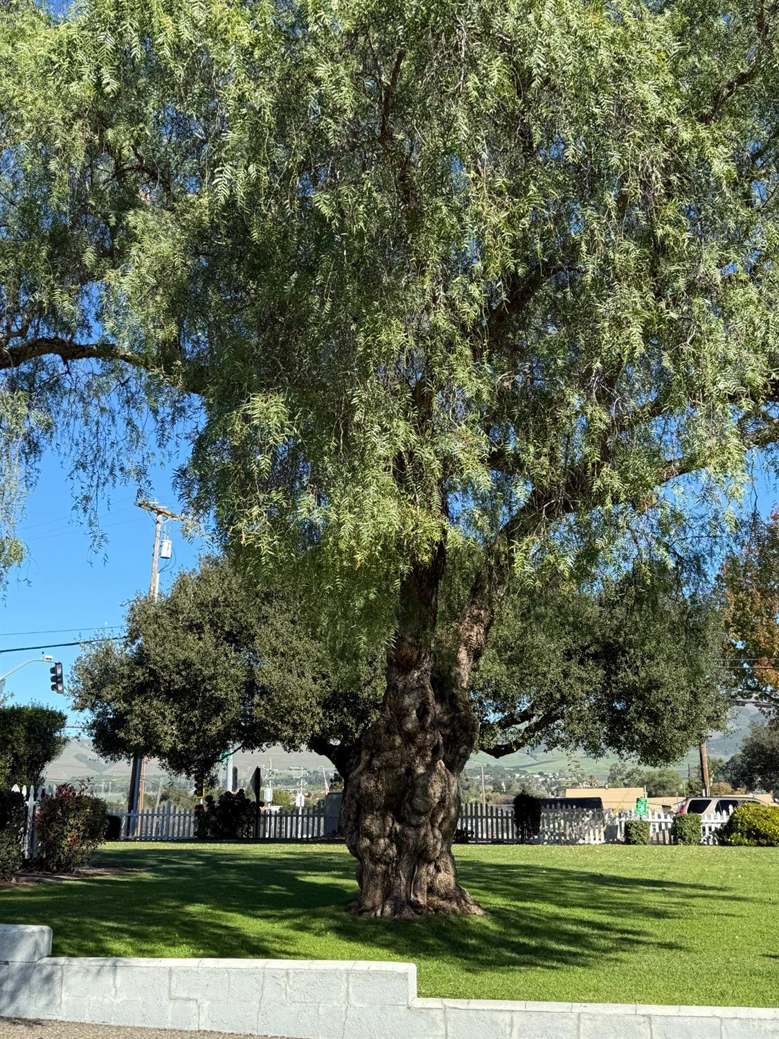 449 W tefft, Nipomo, CA 93444