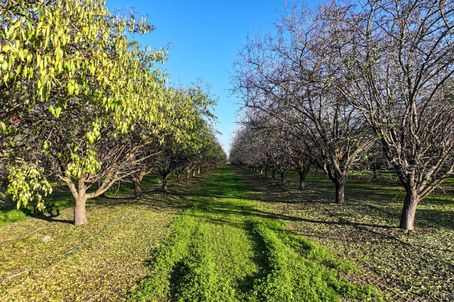 6900 Grangeville Blvd, Hanford, CA 93230