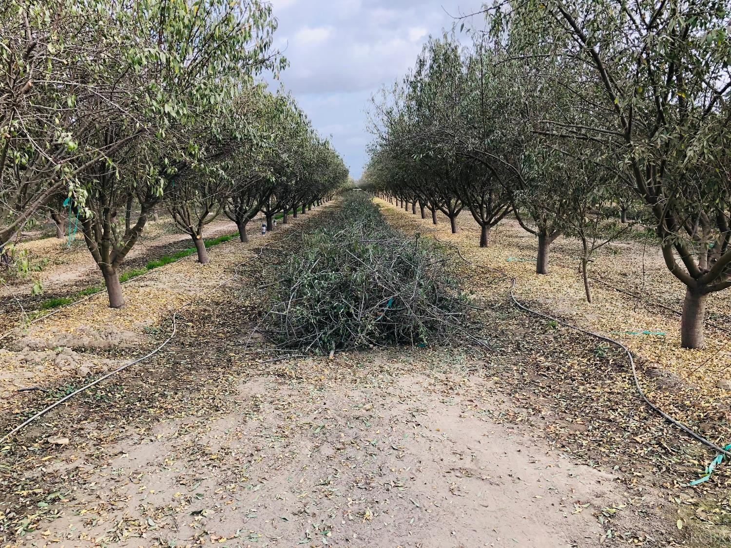 6900 Grangeville Blvd, Hanford, CA 93230