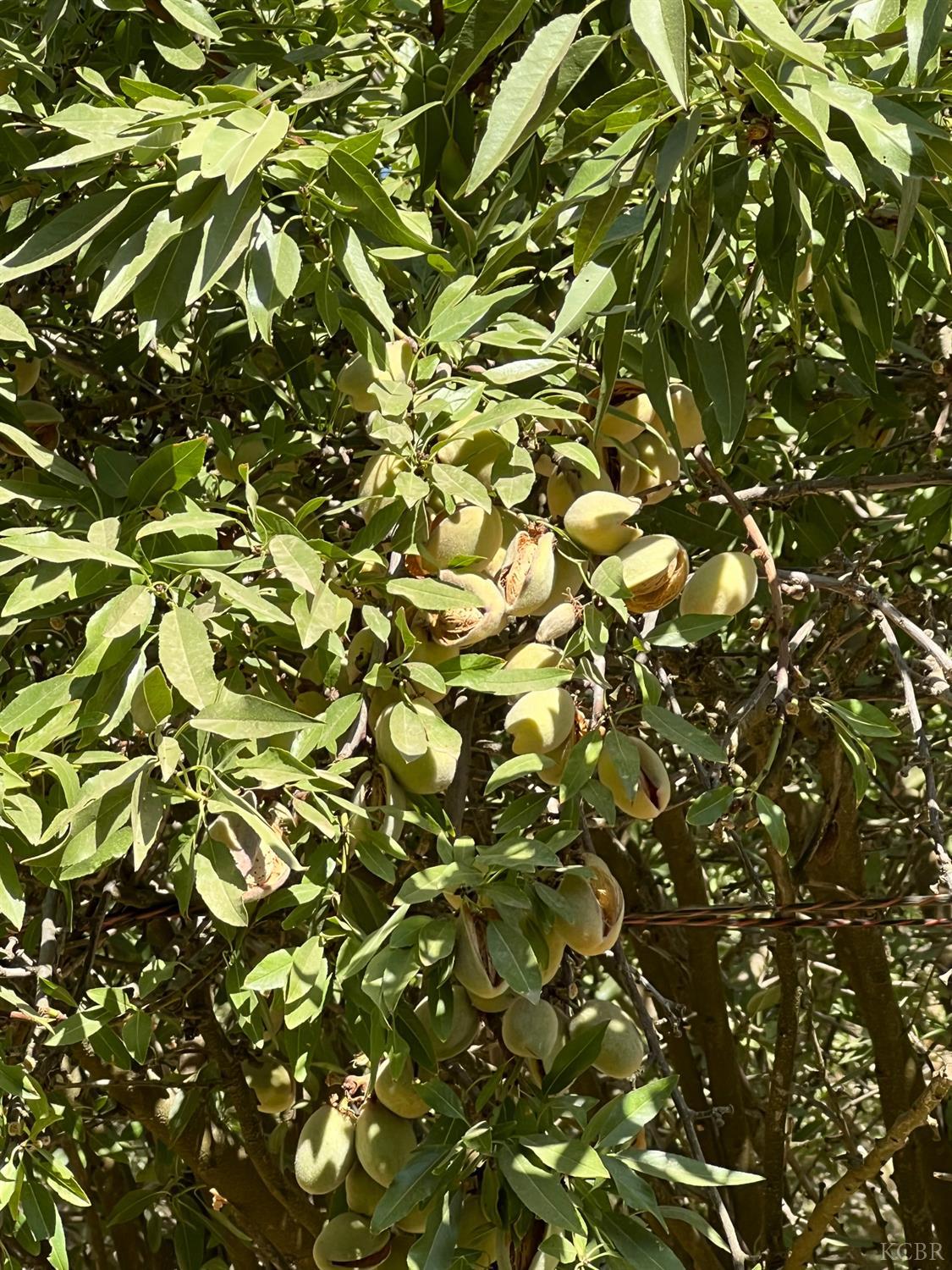 6900 Grangeville Blvd, Hanford, CA 93230