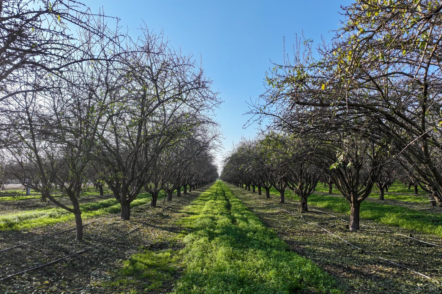 7639 7th Ave, Hanford, CA 93230