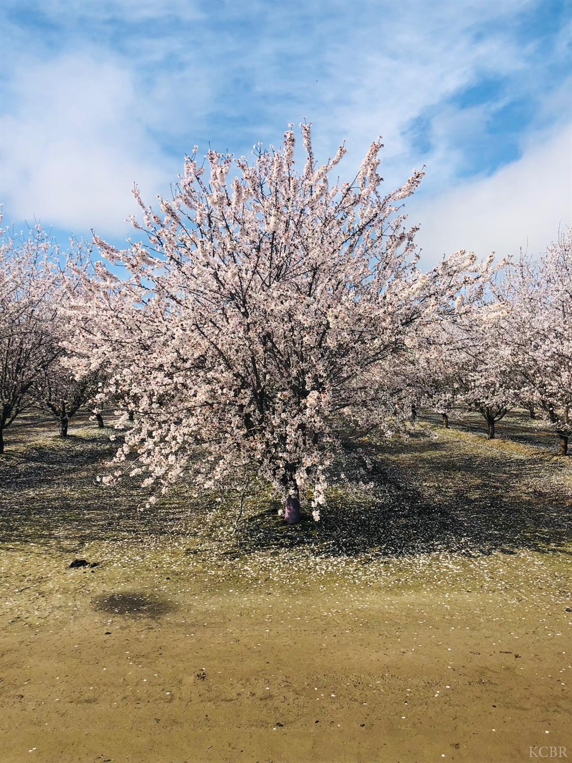 7639 7th Ave, Hanford, CA 93230