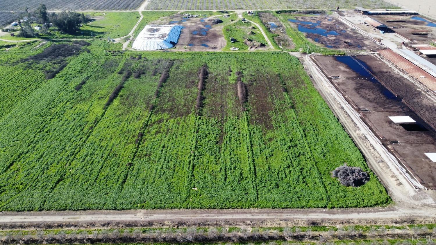 16508 S Clovis Ave, Selma, CA 93662