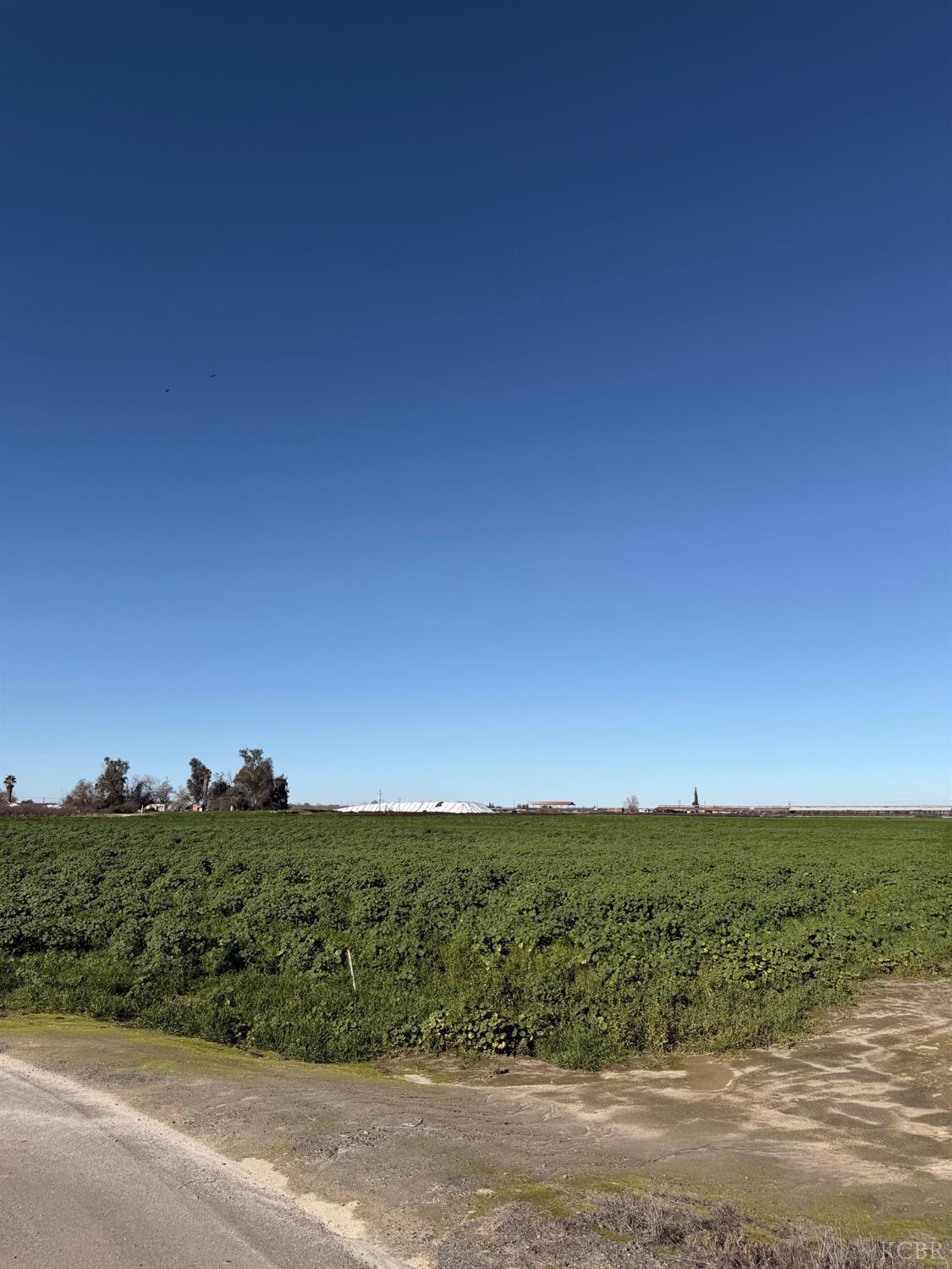 16508 S Clovis Ave, Selma, CA 93662