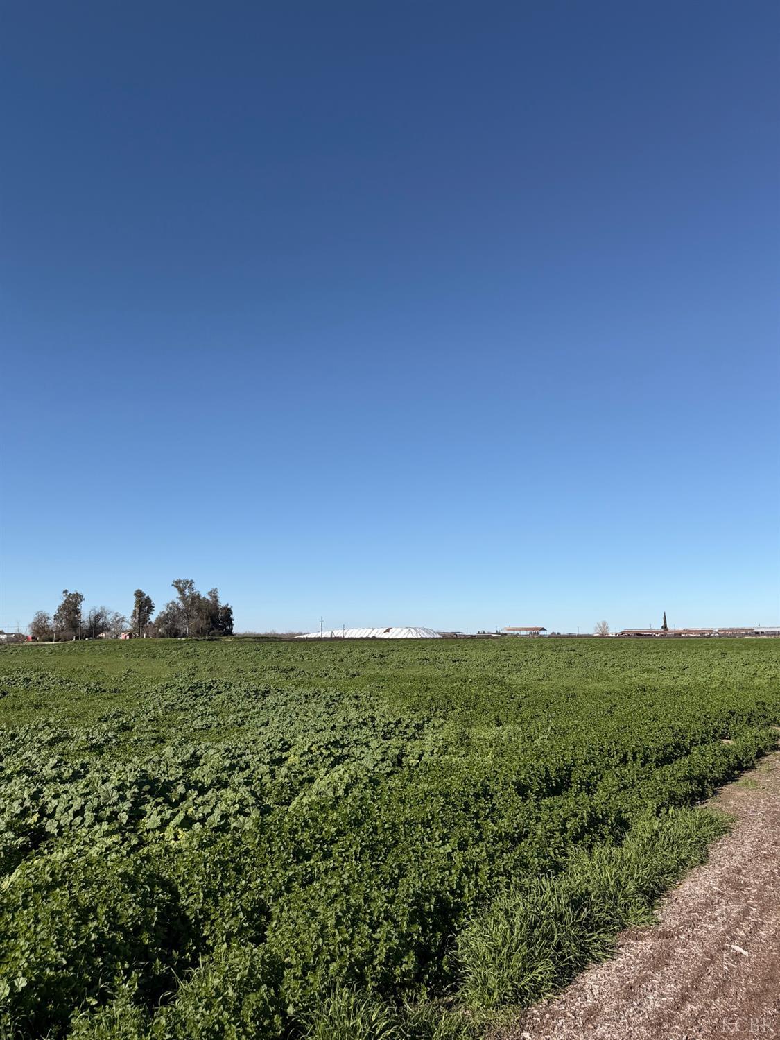 16508 S Clovis Ave, Selma, CA 93662