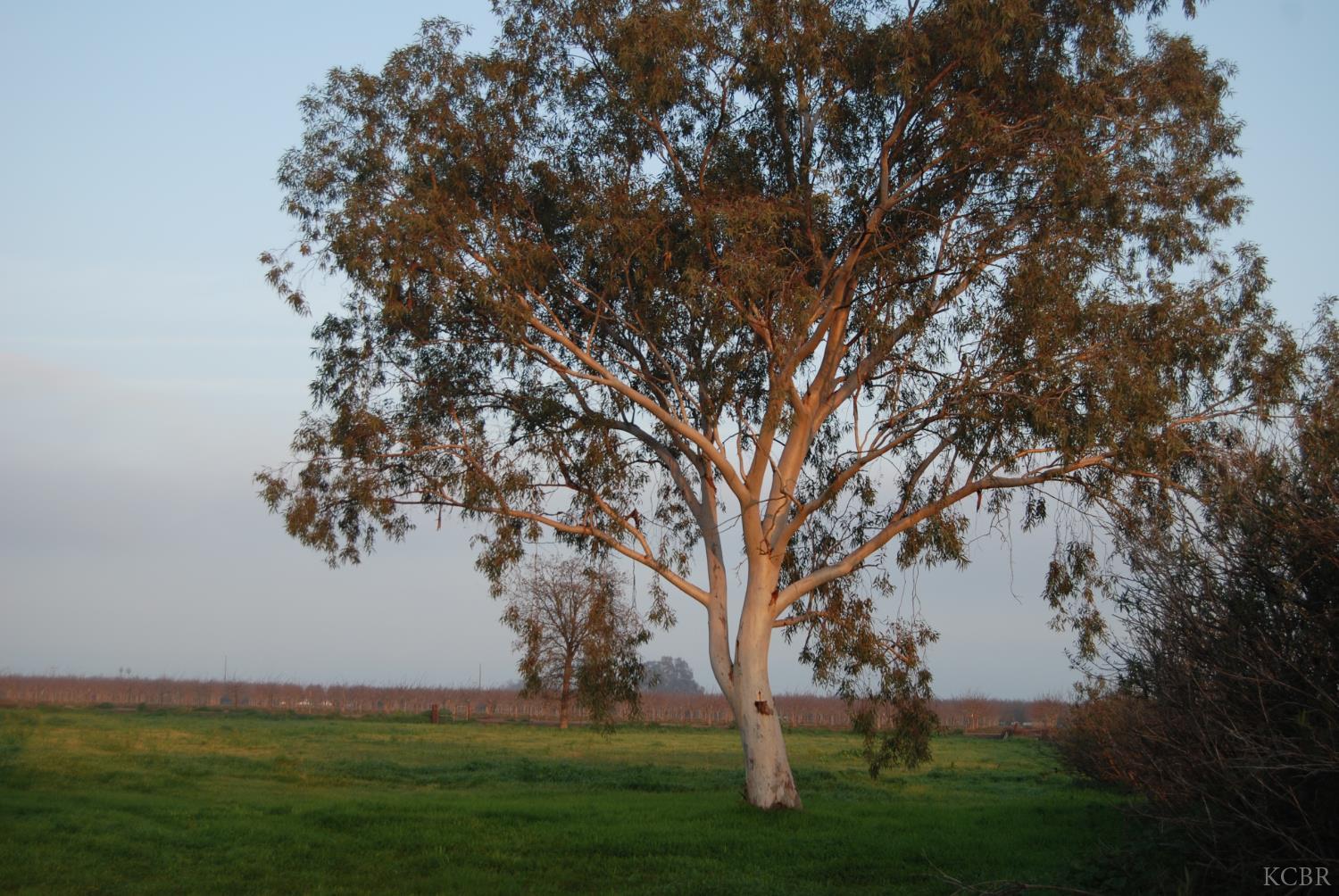 6195 11th Ave, Hanford, CA 93230