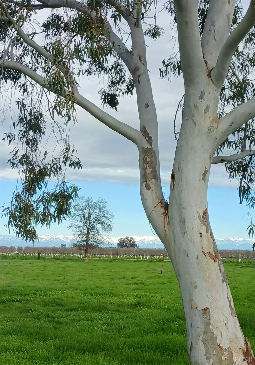 6195 11th Ave, Hanford, CA 93230