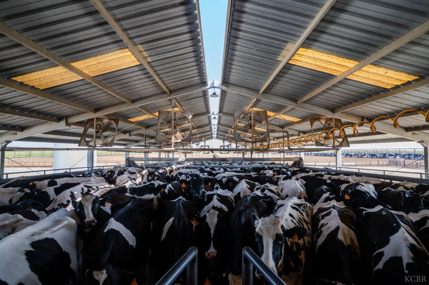 10420 W Manning Ave, Fresno, CA 93706