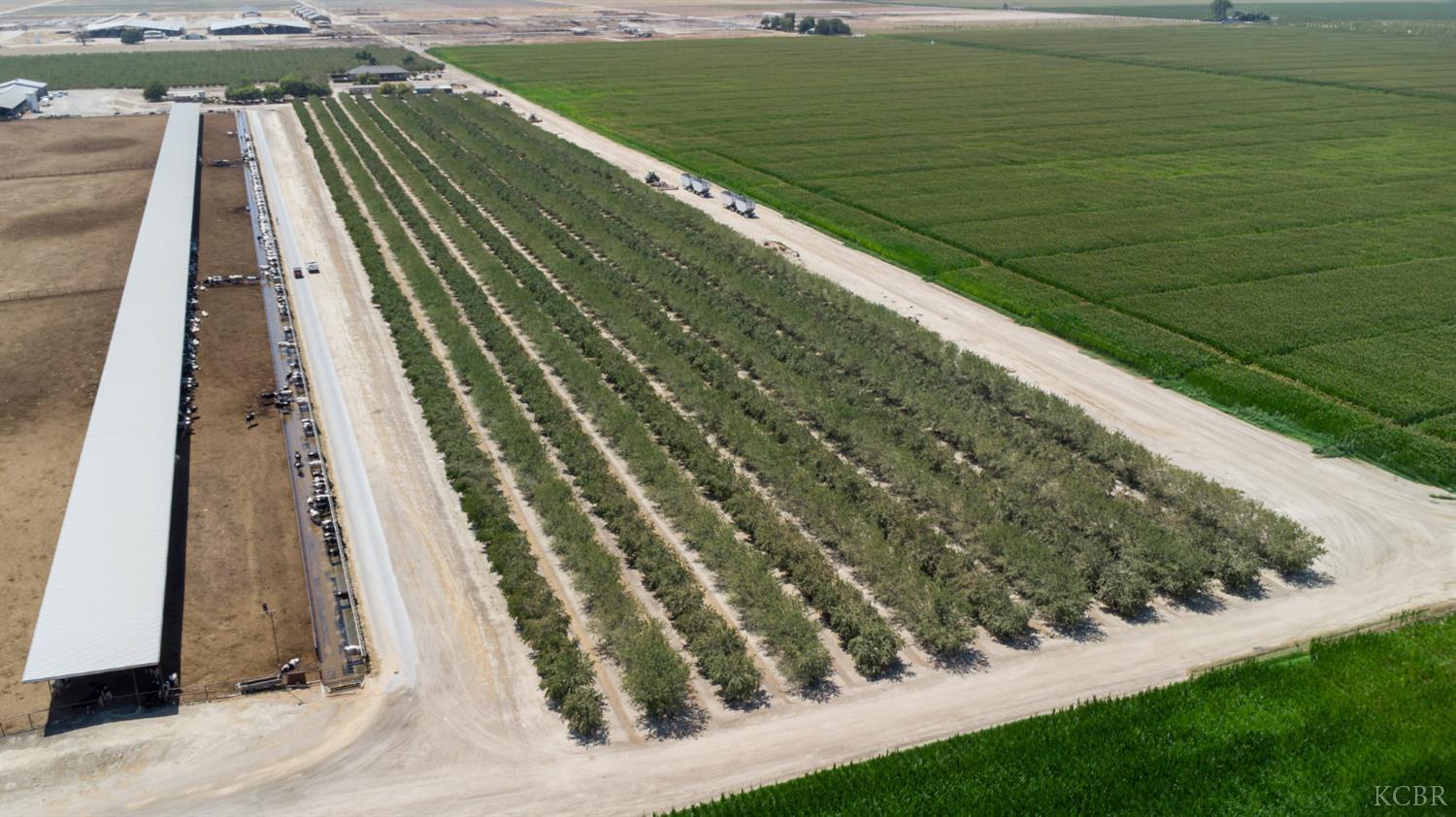 10420 W Manning Ave, Fresno, CA 93706