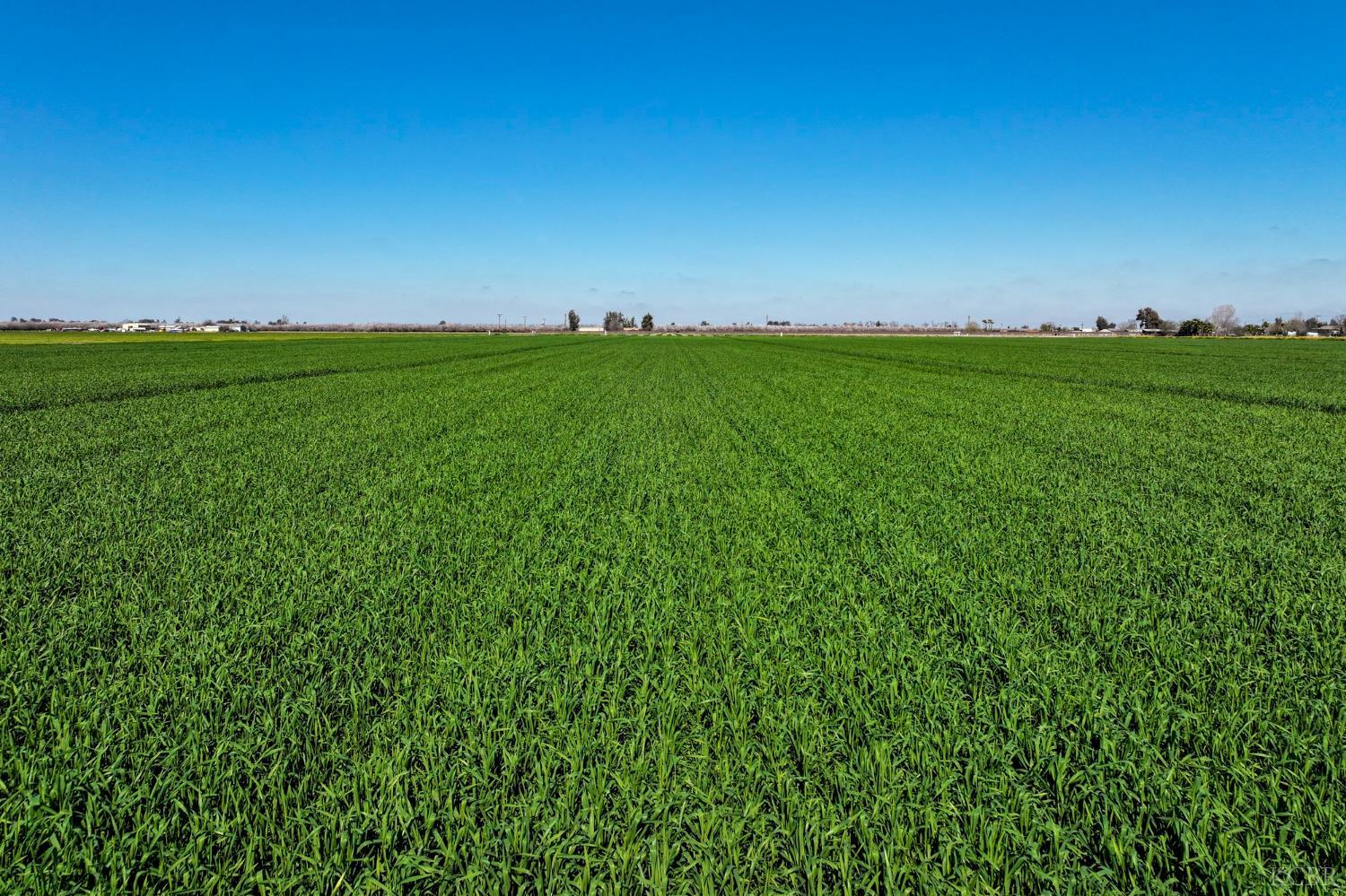 16441 Iona Ave, Lemoore, CA 93245