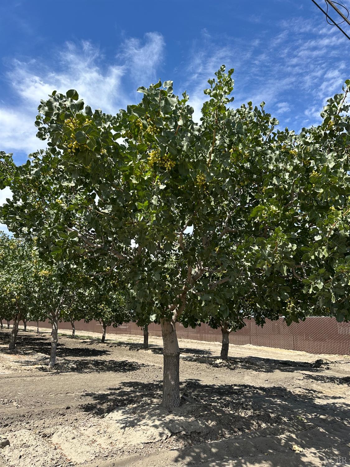 0 Lansing Ave, Lemoore, CA 93245