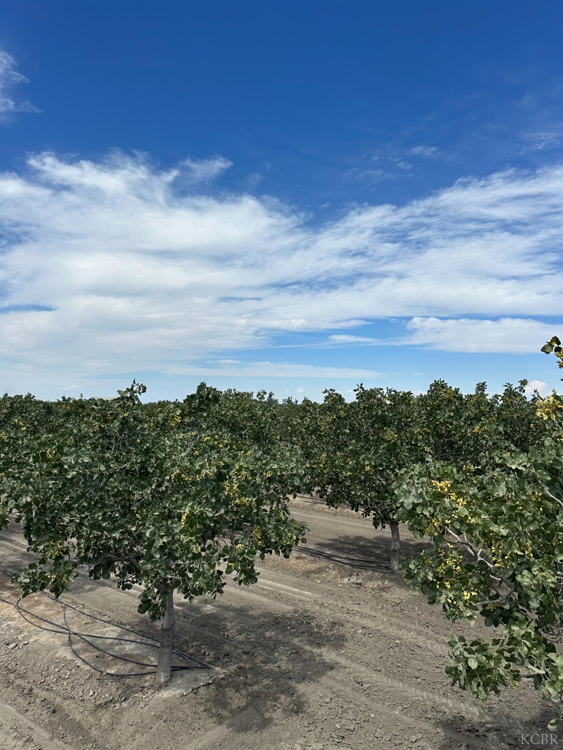 0 Lansing Ave, Lemoore, CA 93245