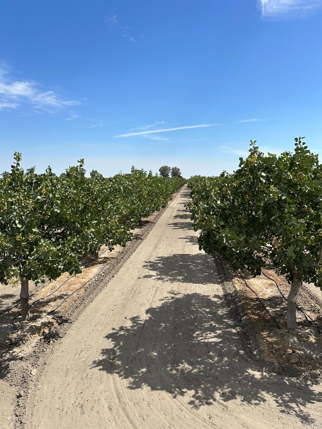 0 Lansing Ave, Lemoore, CA 93245