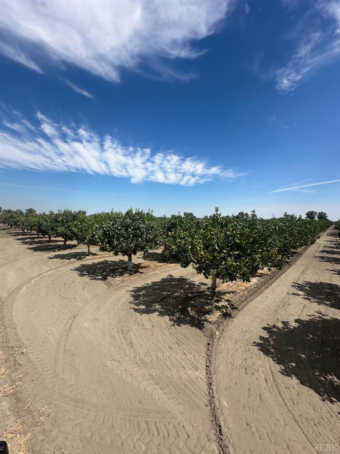 0 Lansing Ave, Lemoore, CA 93245