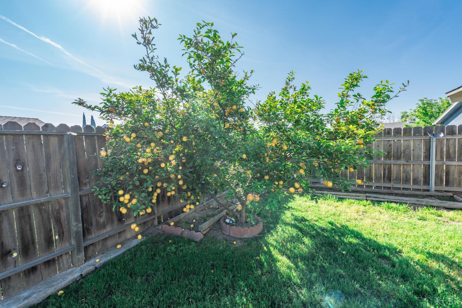 1165 S 12th Ave, Hanford, CA 93230