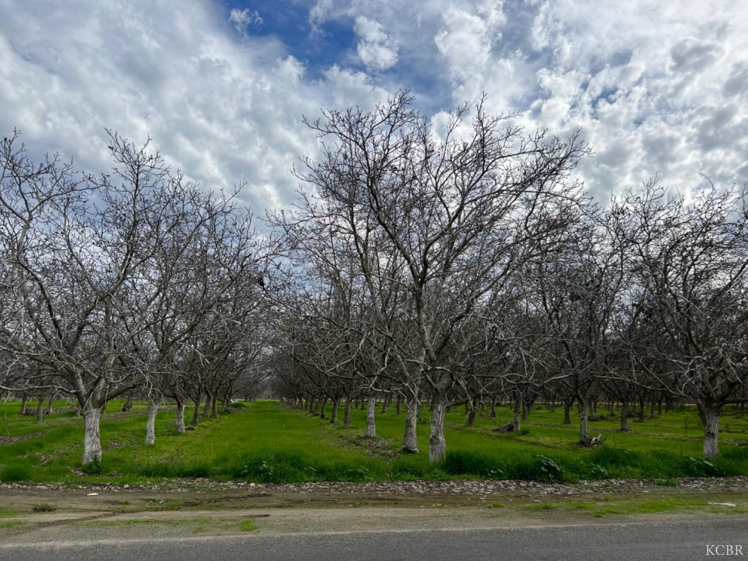 0 18 3/4 Ave, Lemoore, CA 93245