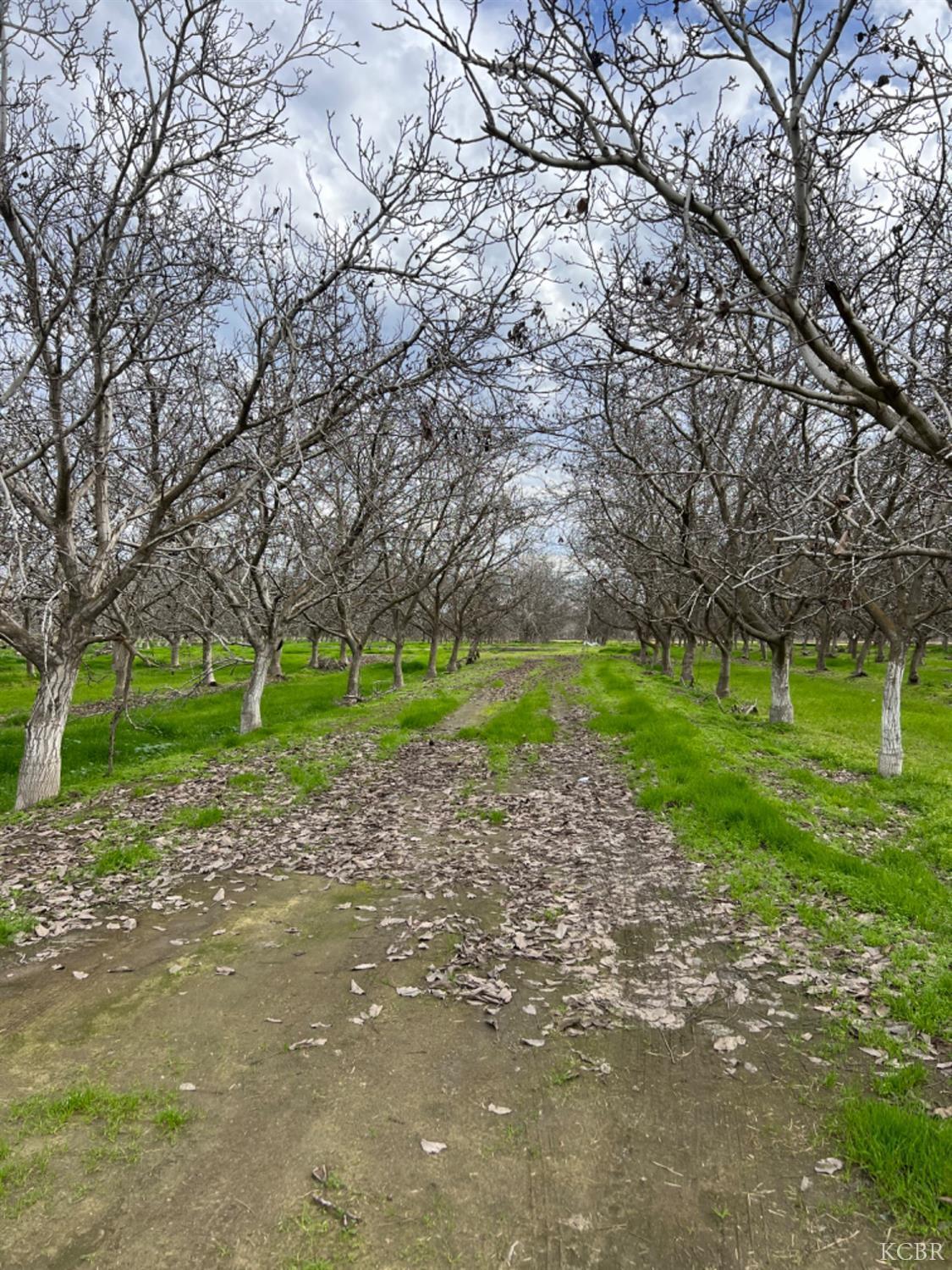 0 18 3/4 Ave, Lemoore, CA 93245