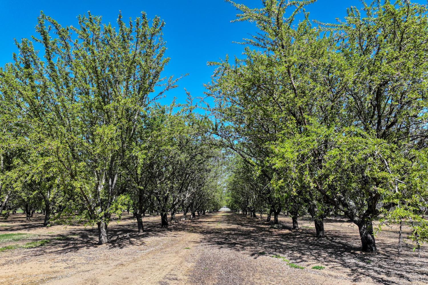 9709 E Shaw Ave, Clovis, CA 93619