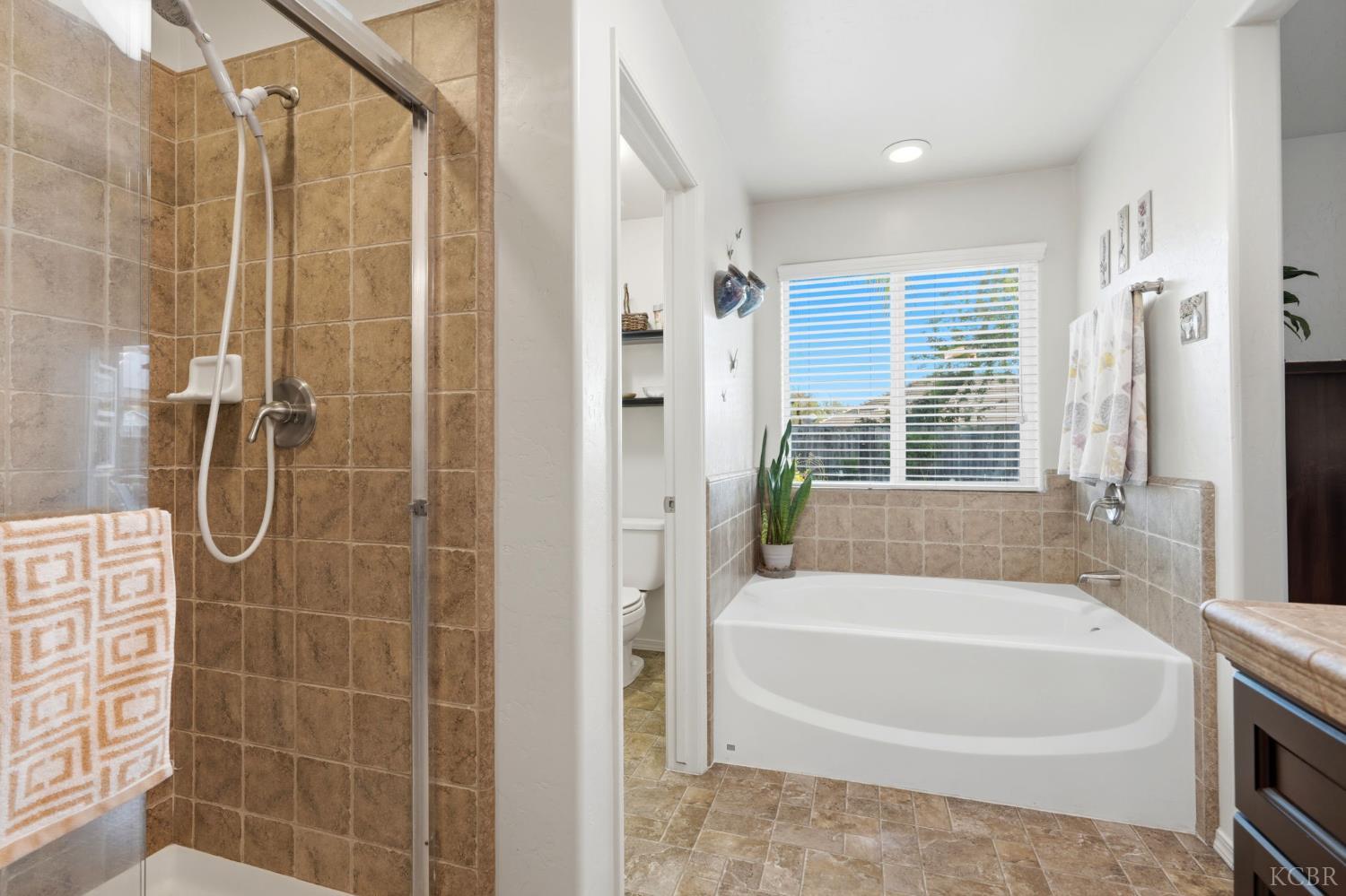 1431 W Ambassador Way, Hanford, CA 93230