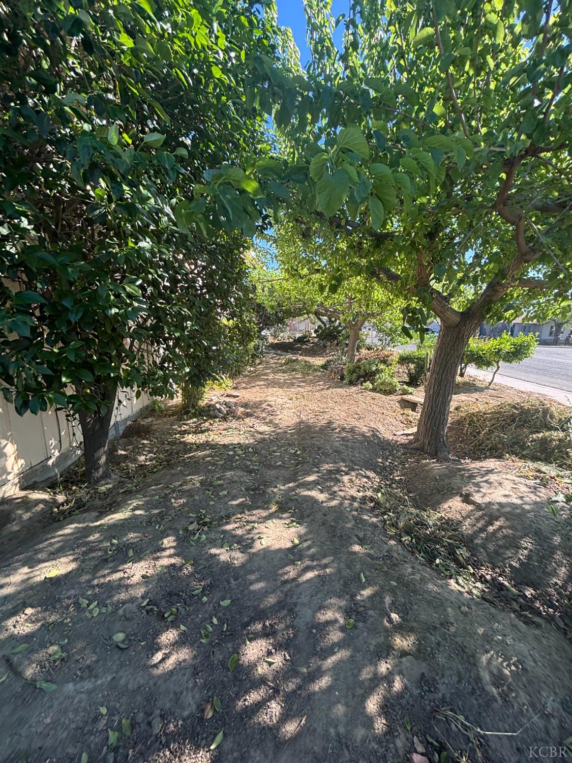 301 E Merced St, Avenal, CA 93204